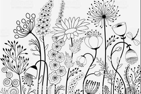 Coloring Book Page….