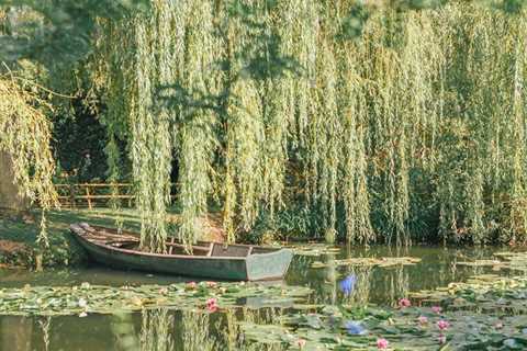 My Visit to the Beautiful Real-Life Monet’s Garden in Giverny, France