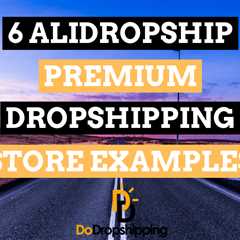 6 AliDropship Premium Dropshipping Store Examples in 2023