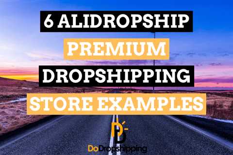 6 AliDropship Premium Dropshipping Store Examples in 2023