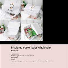 insulated cooler bags wholesale